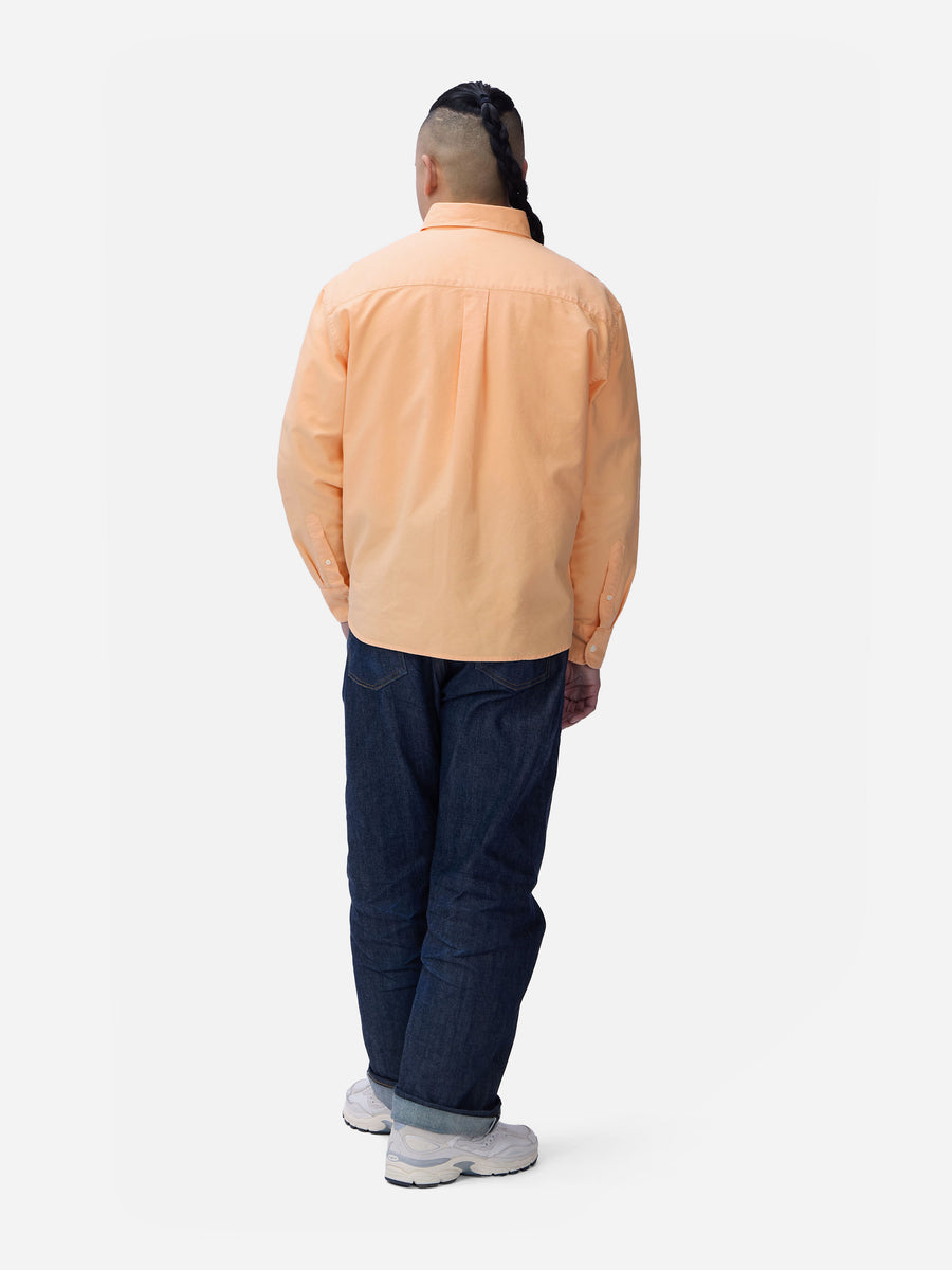 Big Oxford ~ Creamsicle