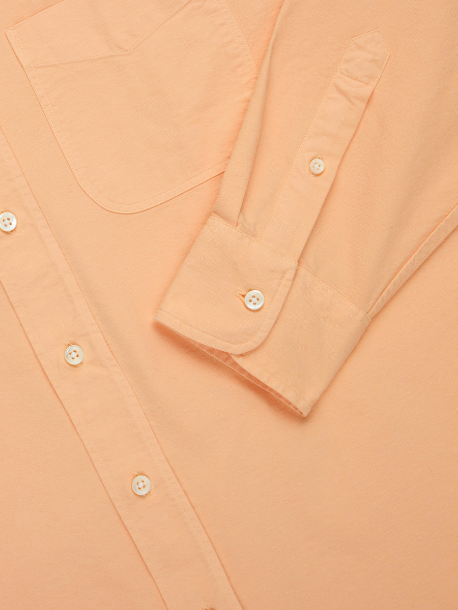 Big Oxford ~ Creamsicle